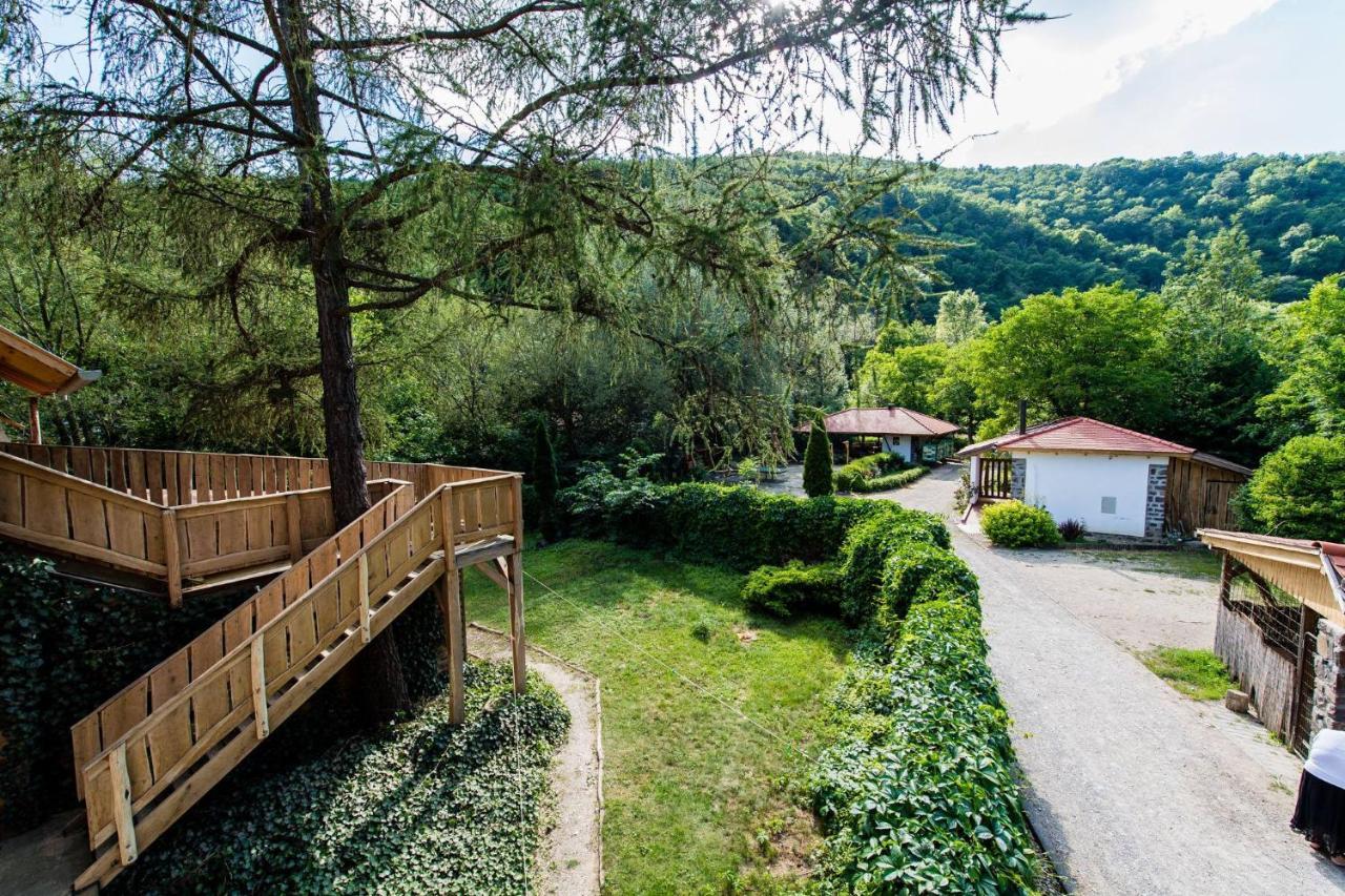 Oeko-Park Panzio, Kemping Es Rendezvenykoezpont Szarvaskő Eksteriør bilde